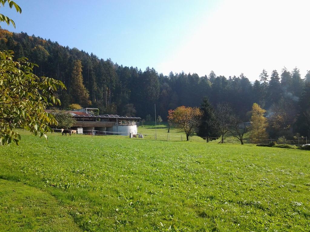 Ferienhaus Sandra 회르브란츠 객실 사진